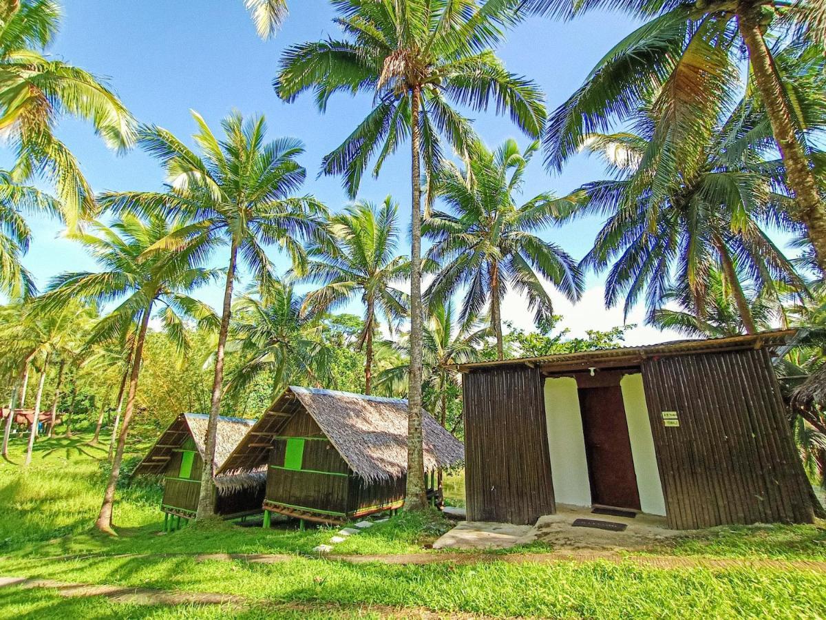 Caliraya Ecoville Recreation And Farm Resort Cavinti Exteriér fotografie
