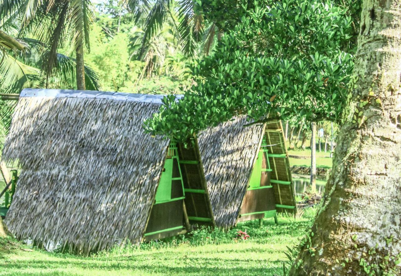 Caliraya Ecoville Recreation And Farm Resort Cavinti Exteriér fotografie