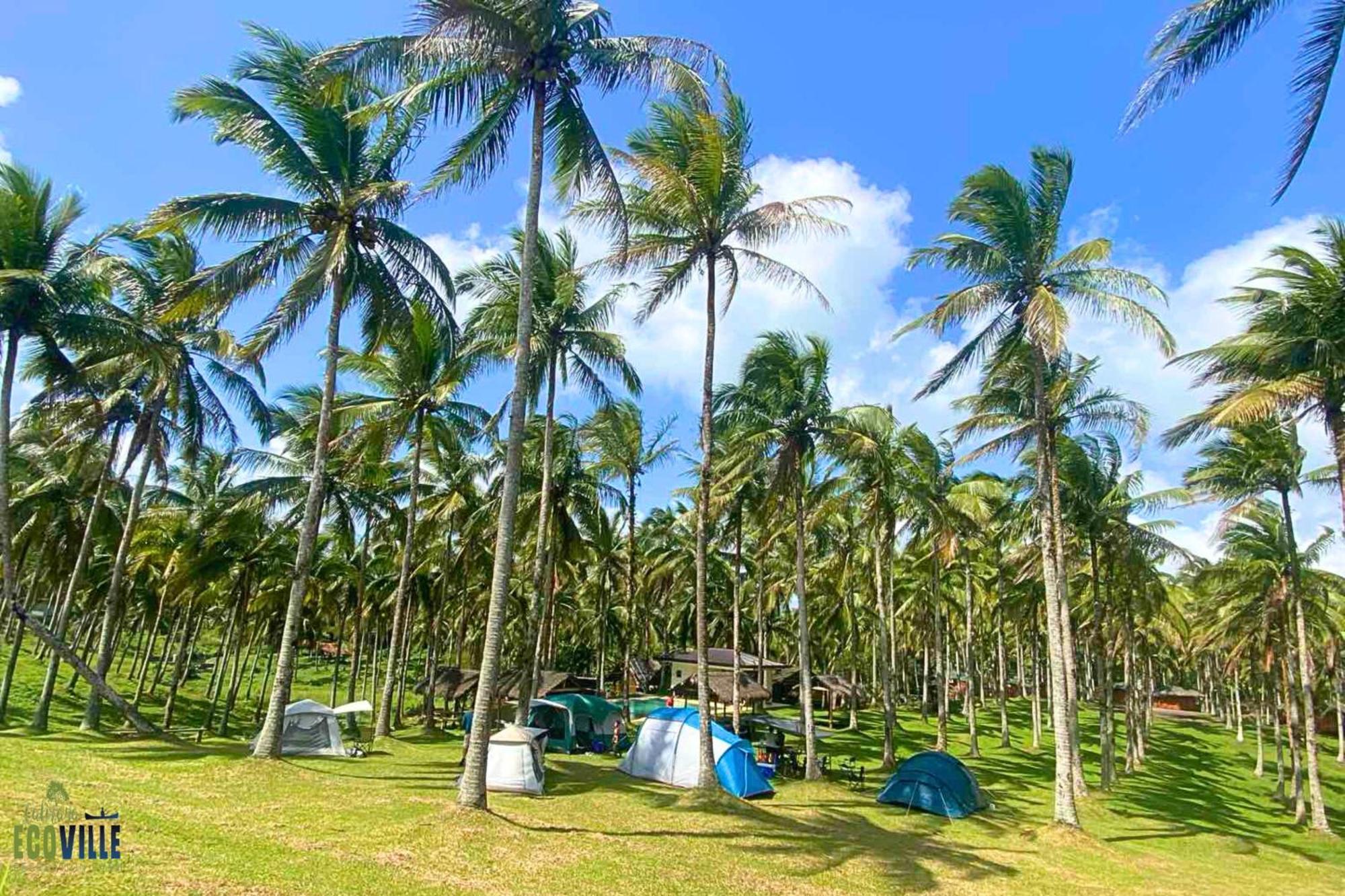 Caliraya Ecoville Recreation And Farm Resort Cavinti Exteriér fotografie