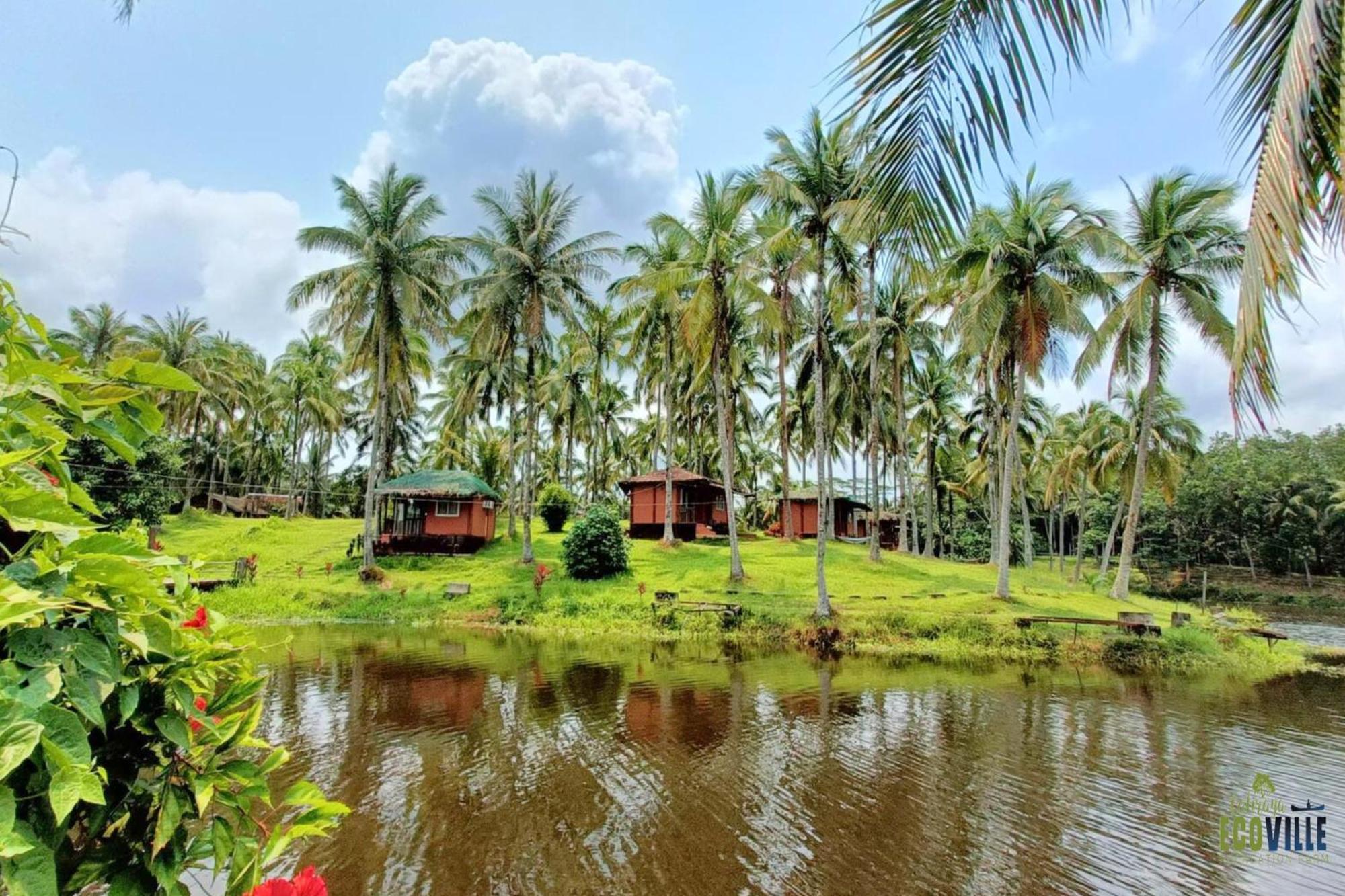 Caliraya Ecoville Recreation And Farm Resort Cavinti Exteriér fotografie